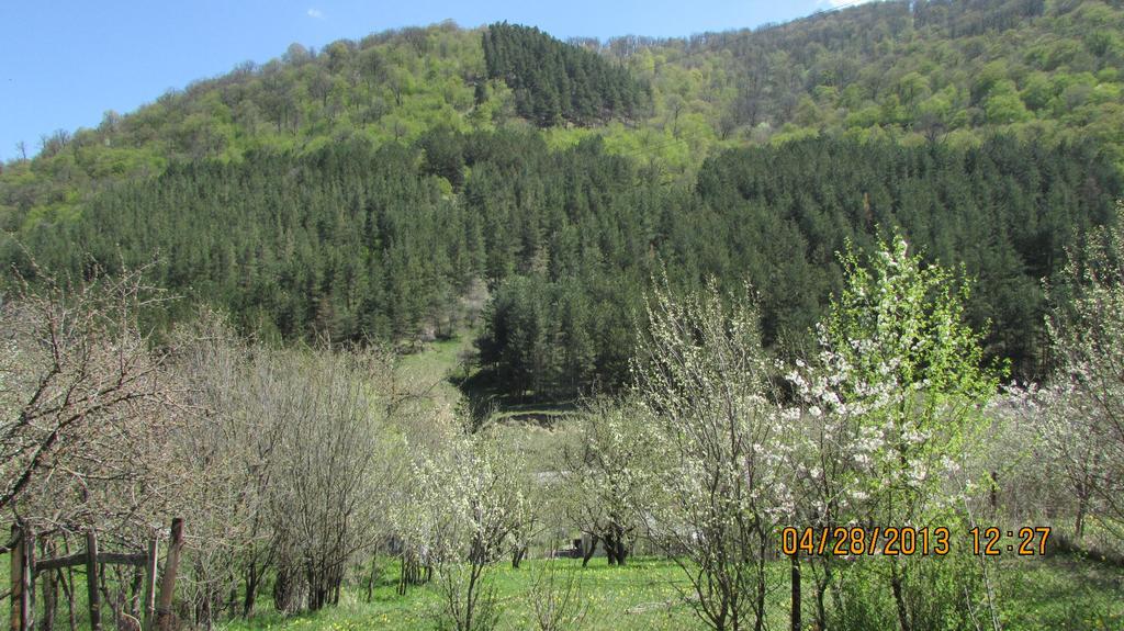 Dilijan Duplex Villa Exterior foto